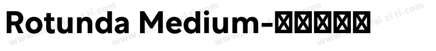 Rotunda Medium字体转换